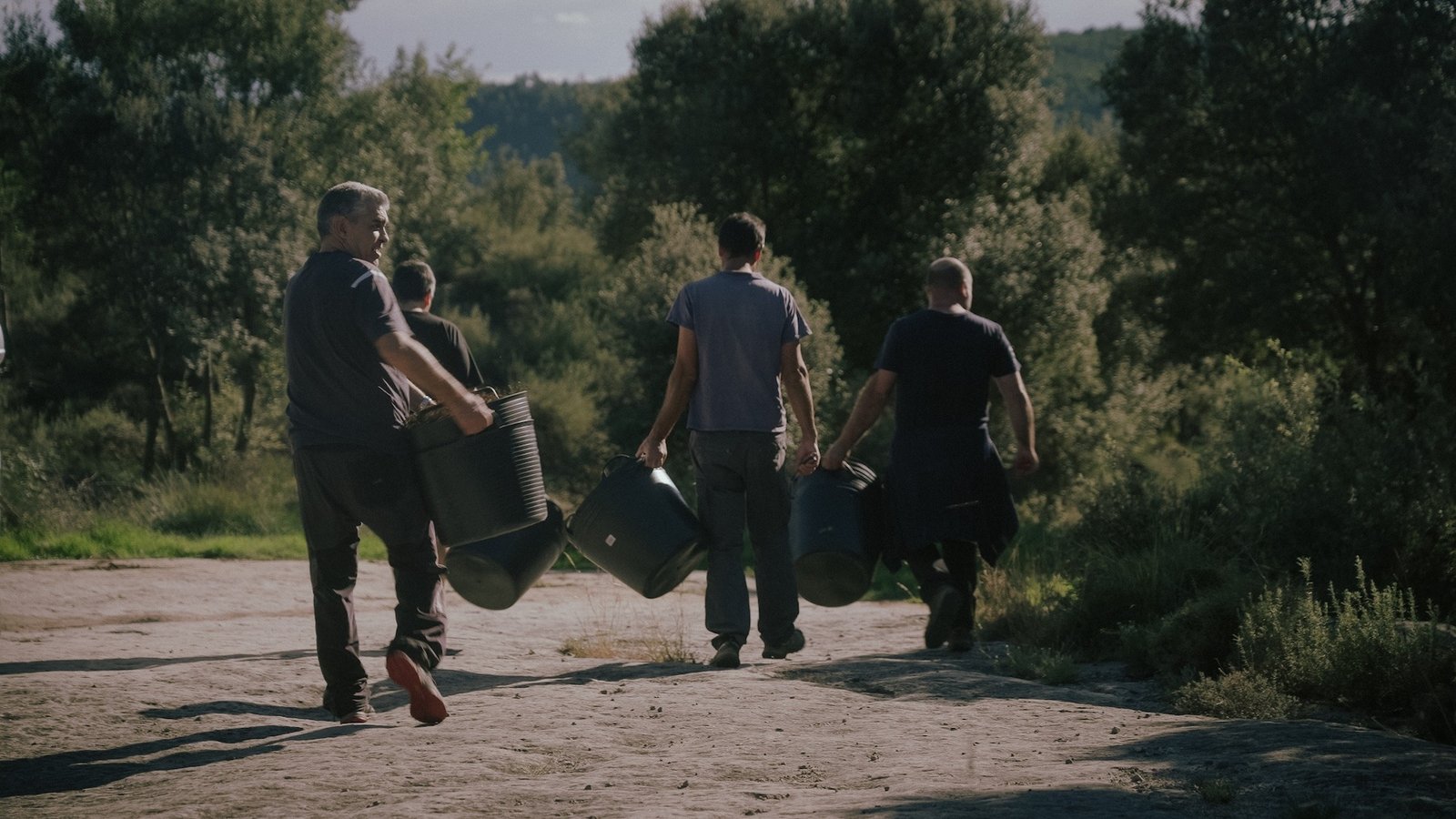 Mans a la terra: la nostra primera verema 1 Varema 1